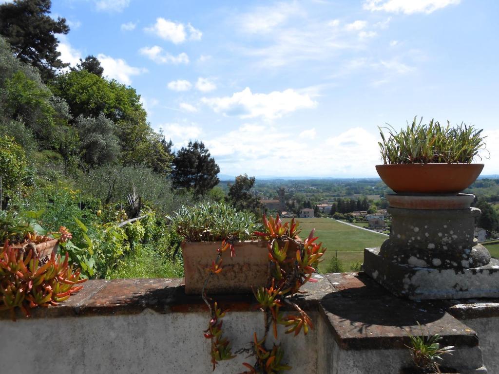 Bed and Breakfast La Pieve Di Sant'Andrea à Maggiano Extérieur photo